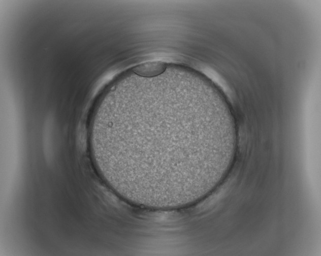 X0000111371067200907311028