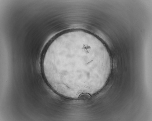 X0000111371068200907311028