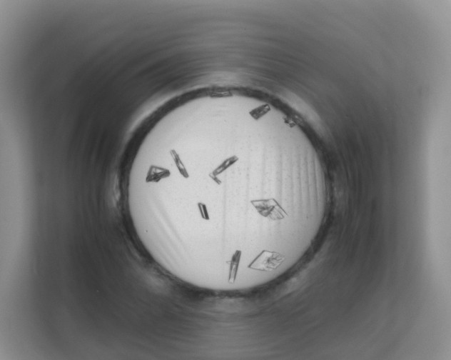 X0000111371070200907311028