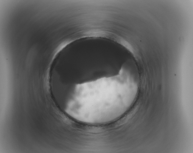 X0000111371071200907311028