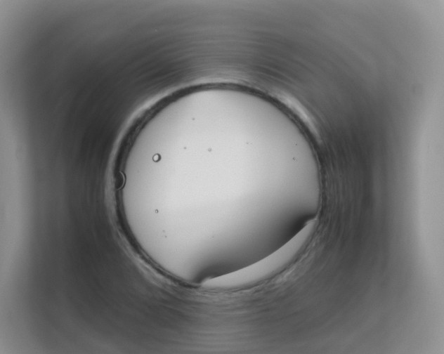 X0000111371072200907311028