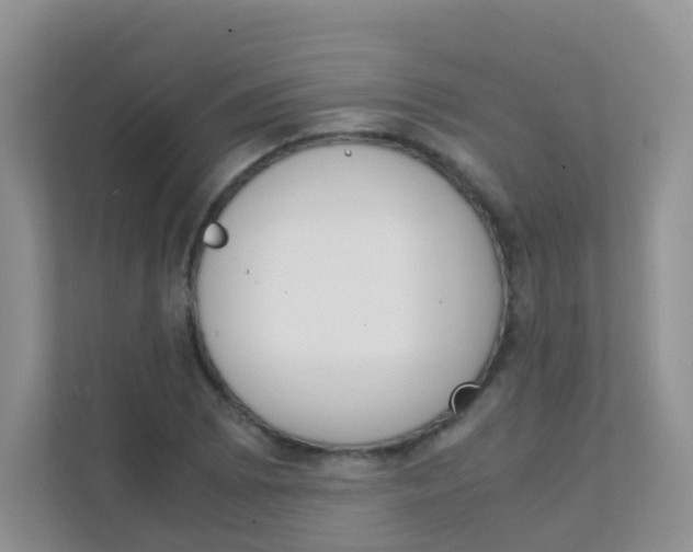 X0000111371073200907311028