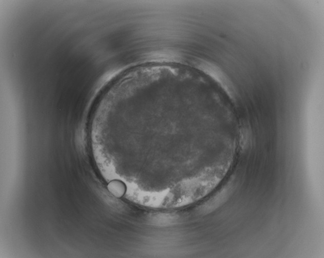 X0000111371074200907311028