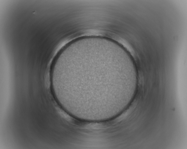 X0000111371075200907311028