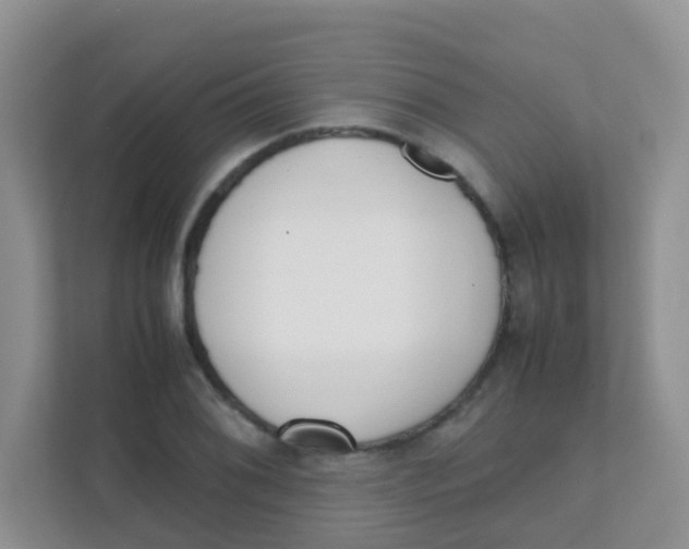 X0000111371076200907311028