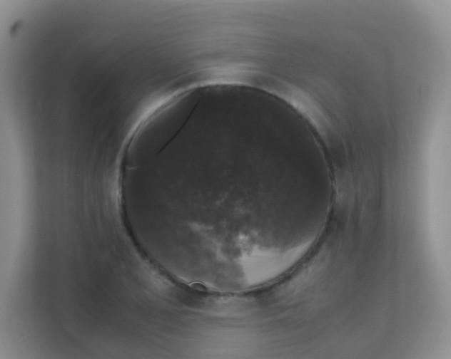 X0000111371077200907311028