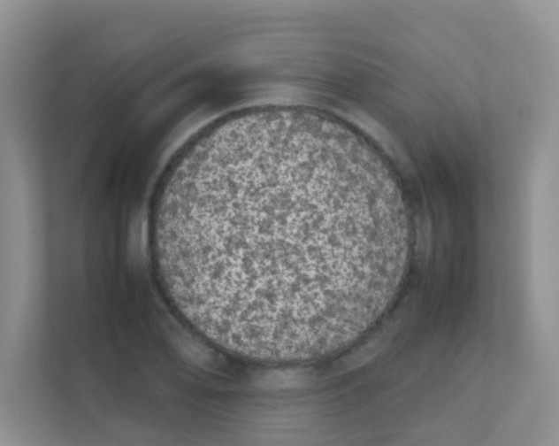 X0000111371078200907311028