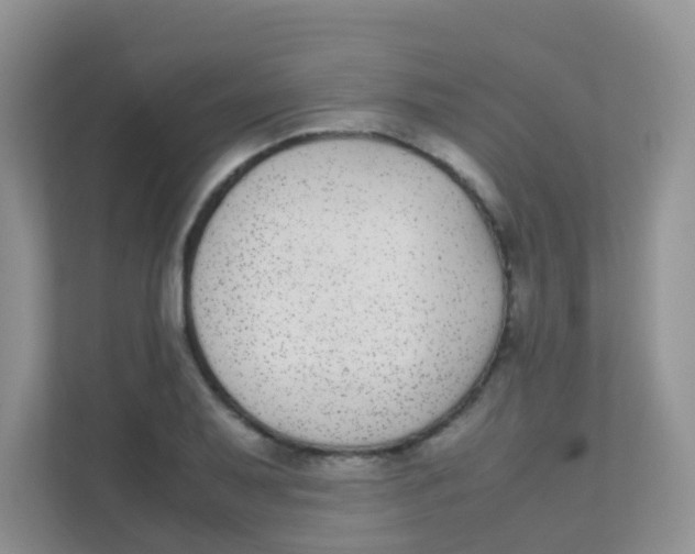 X0000111371079200907311028