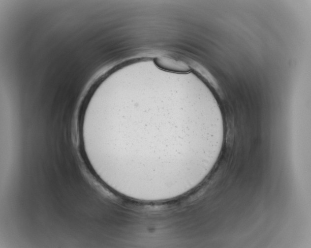 X0000111371080200907311028