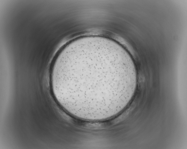 X0000111371083200907311028