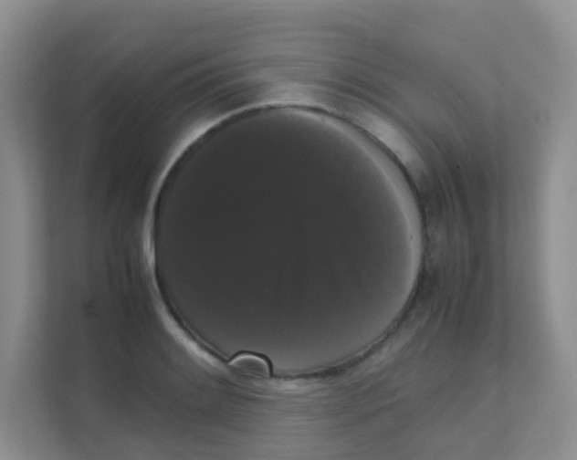 X0000111371084200907311028