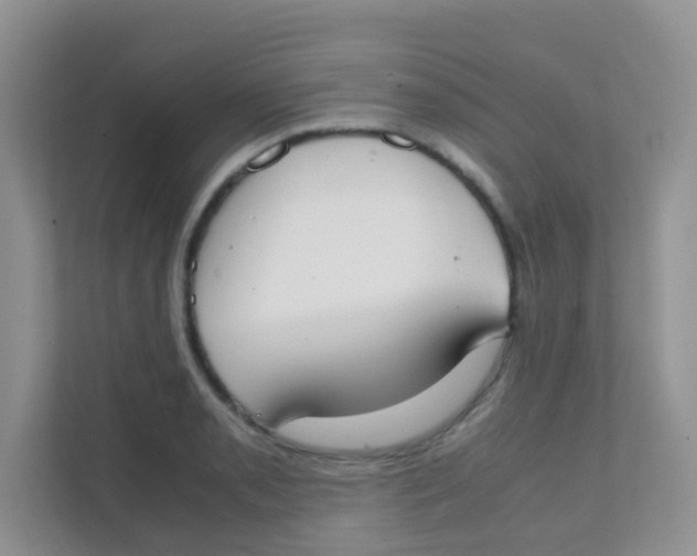 X0000111371085200907311028