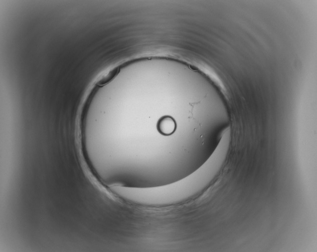 X0000111371088200907311028