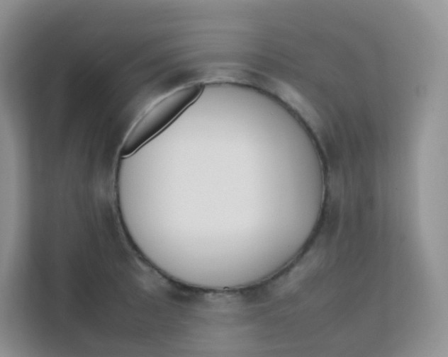 X0000111371089200907311028