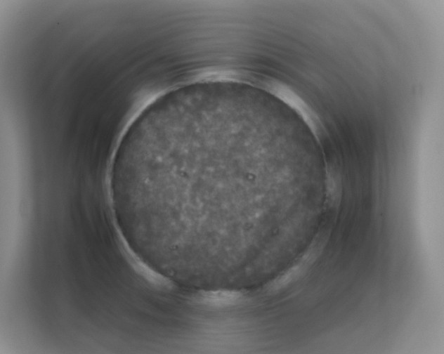 X0000111371090200907311028