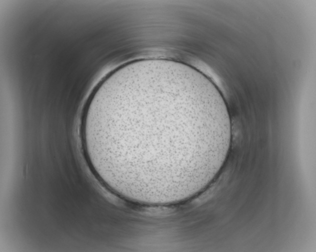 X0000111371091200907311028