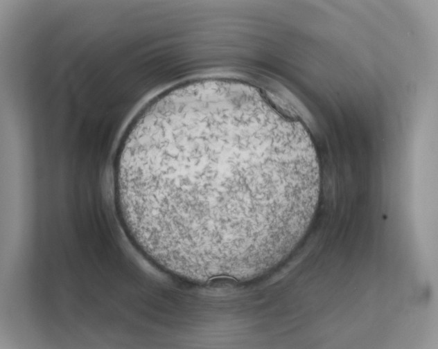 X0000111371092200907311028