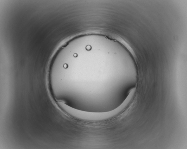 X0000111371093200907311028