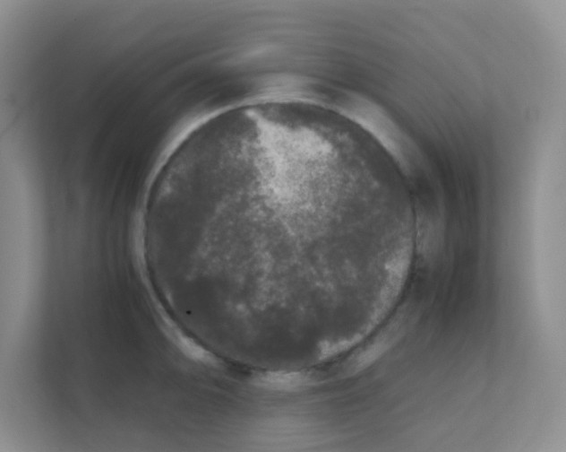 X0000111371094200907311028