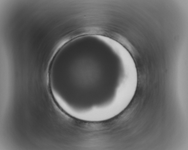 X0000111371095200907311028