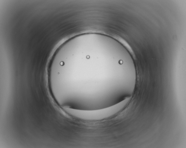 X0000111371096200907311028