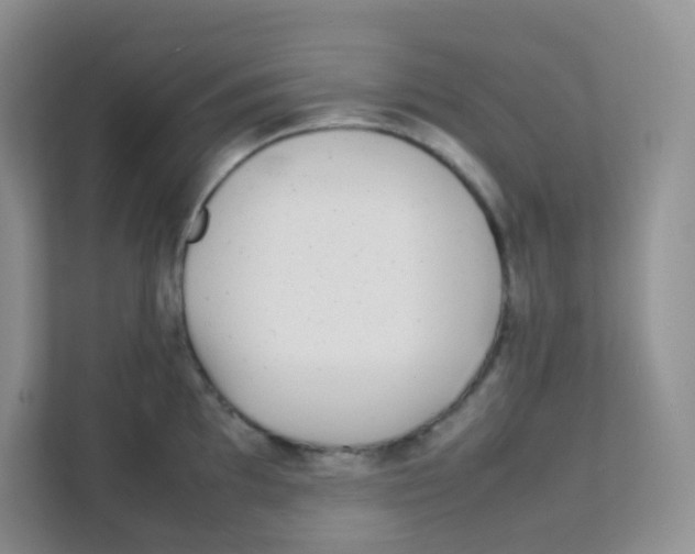 X0000111371097200907311028