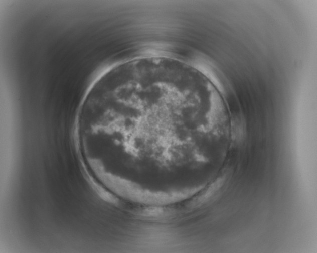 X0000111371098200907311028