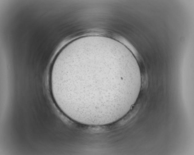 X0000111371099200907311028