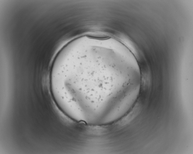 X0000111371100200907311028