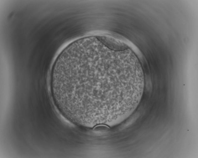 X0000111371102200907311028