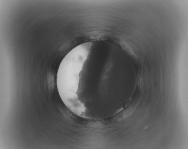 X0000111371106200907311027