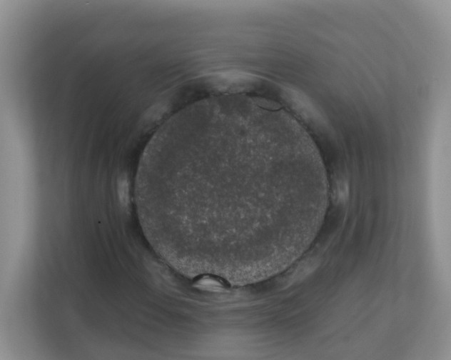 X0000111371108200907311027