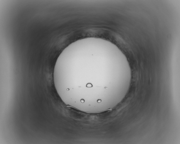 X0000111371109200907311027