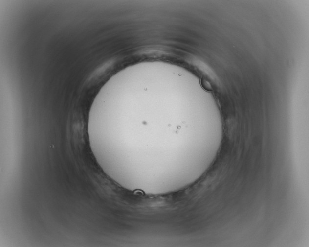 X0000111371111200907311027