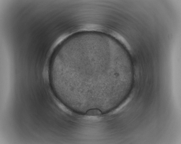 X0000111371114200907311027