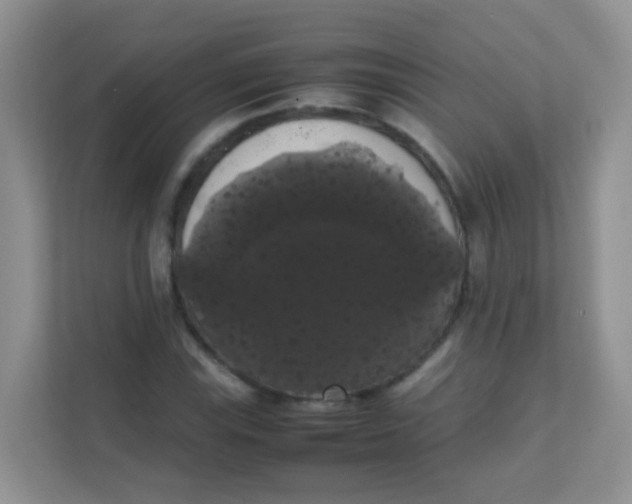 X0000111371115200907311027