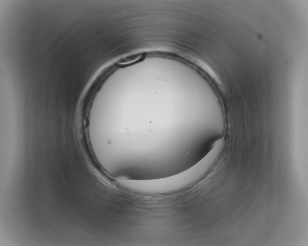 X0000111371116200907311027