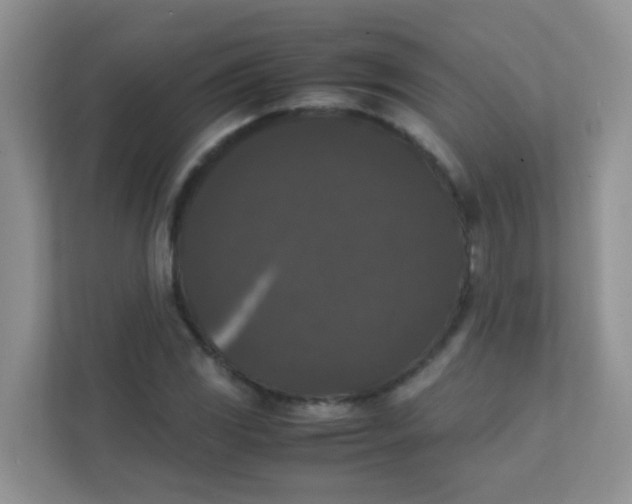 X0000111371117200907311027