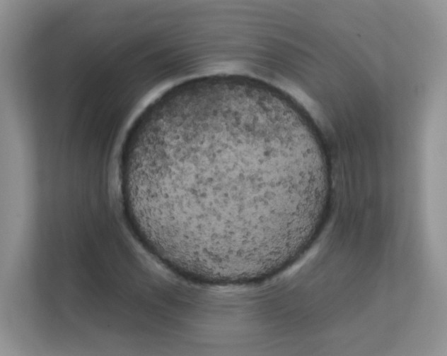 X0000111371118200907311027