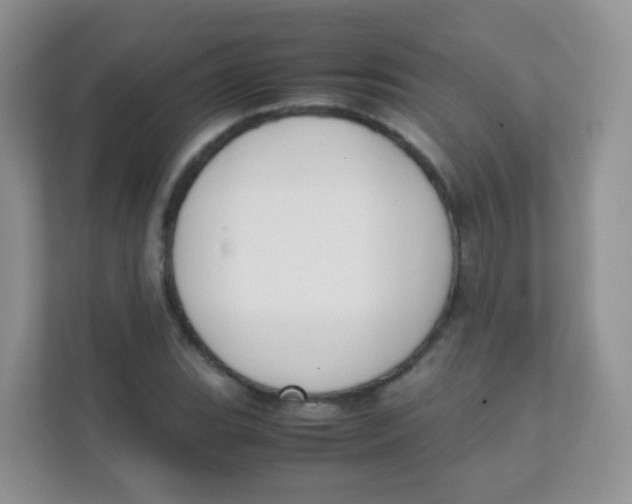 X0000111371119200907311027