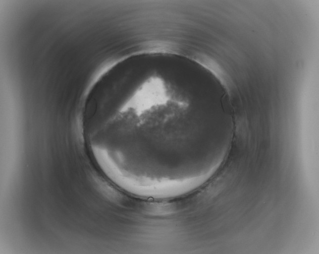 X0000111371120200907311027