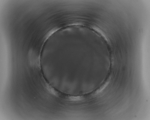 X0000111371121200907311027