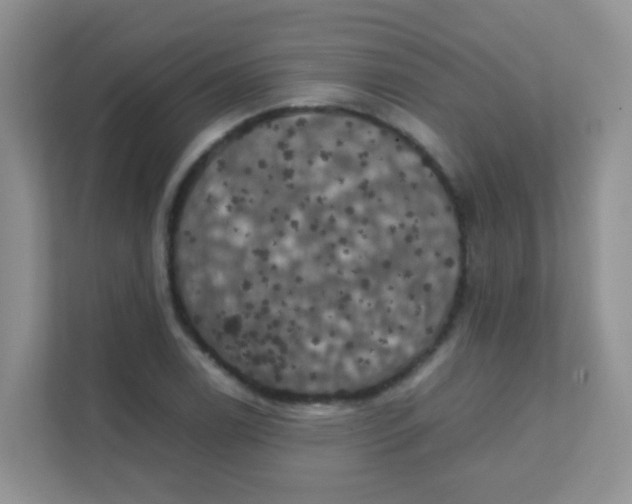 X0000111371122200907311027