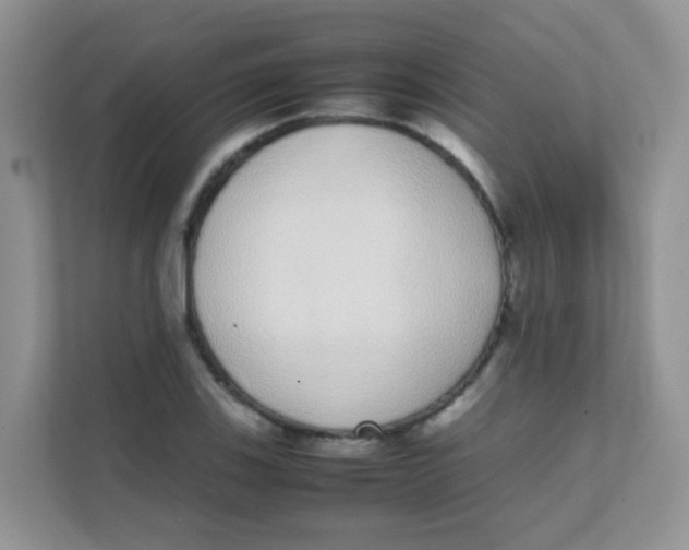 X0000111371123200907311027