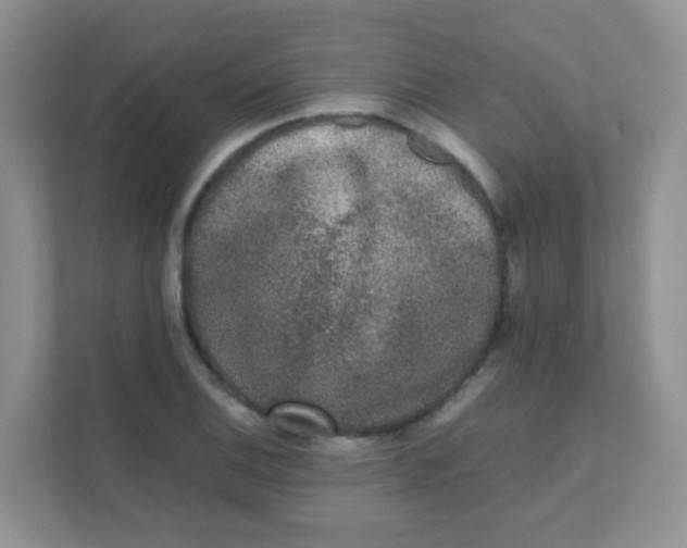 X0000111371124200907311027