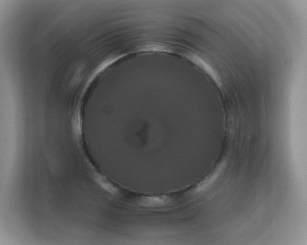 X0000111371125200907311027