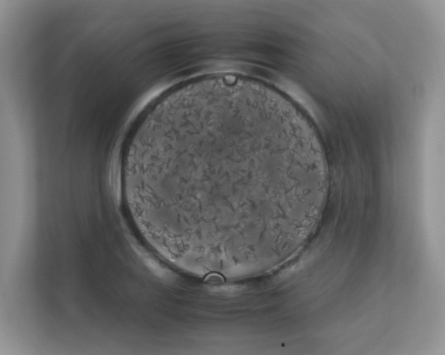 X0000111371127200907311028