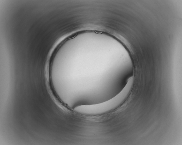 X0000111371128200907311028