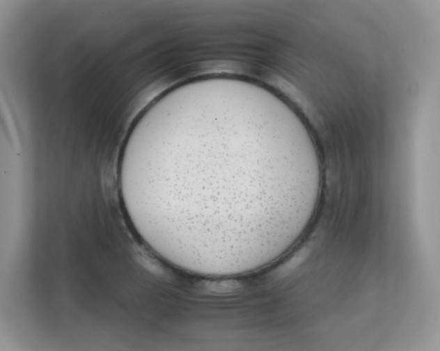 X0000111371129200907311028