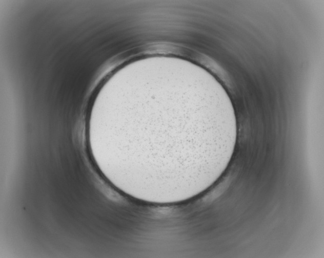 X0000111371130200907311028